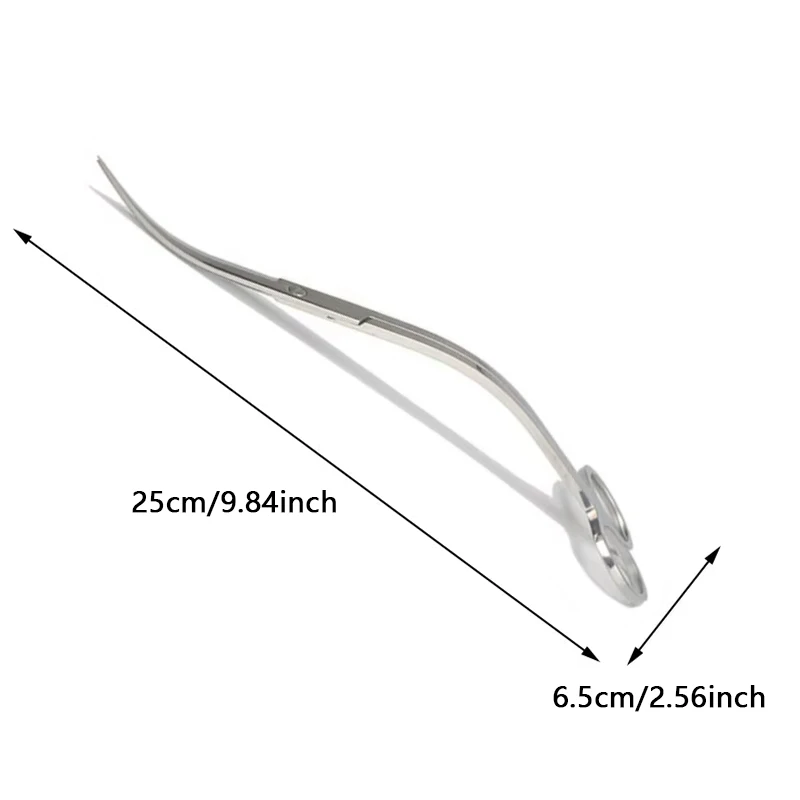 Tools Set Scissor Tweezers Plants סט כלי עבודה מקצועי לטרריומים - פינצטות ומספריים מנירוסטה לטיפול בצמחים
