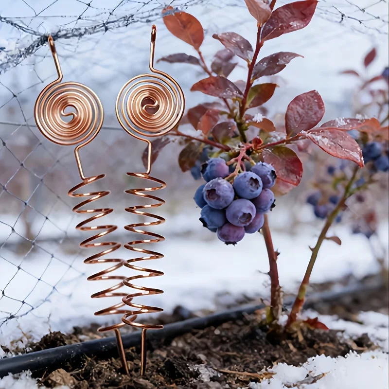 lectroplated copper garden antenna kit אנטנת נחושת Electroculture מיוחדת לצמחים - מוט נחושת בעיצוב ספירלה 25 ס"מ