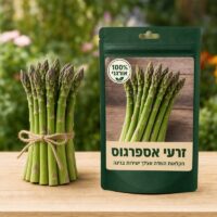 זרעי אספרגוס זרעי אספרגוס - Asparagus 🌱
