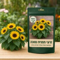 זרעי חמנית נמוכה זרעי חמנית נמוכה 🌻