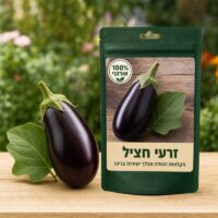 זרעי חציל זרעי חציל 🍆