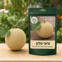 זרעי מלון זרעי מלון - Melon 🍈