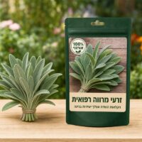 זרעי מרווה רפואית זרעי מרווה רפואית 🌿