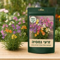 זרעי נמסיה זרעי נמסיה 🌸