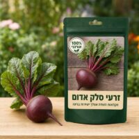 זרעי סלק אדום זרעי סלק אדום - Beta 🥬