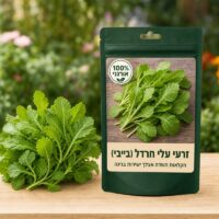 זרעי עלי חרדל (בייבי) זרעי עלי חרדל (בייבי) 🥬