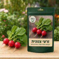 זרעי צנונית זרעי צנונית 🌱