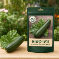זרעי קישוא זרעי קישוא 🎃